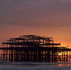 west-pier